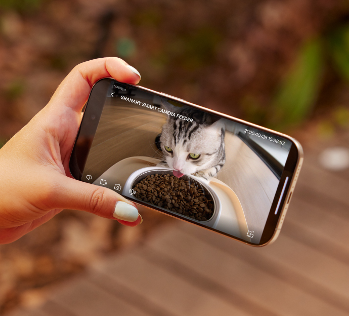 Petlibro smart camera feeder shown on smartphone screen monitoring a gray tabby cat eating dry food in a white bowl