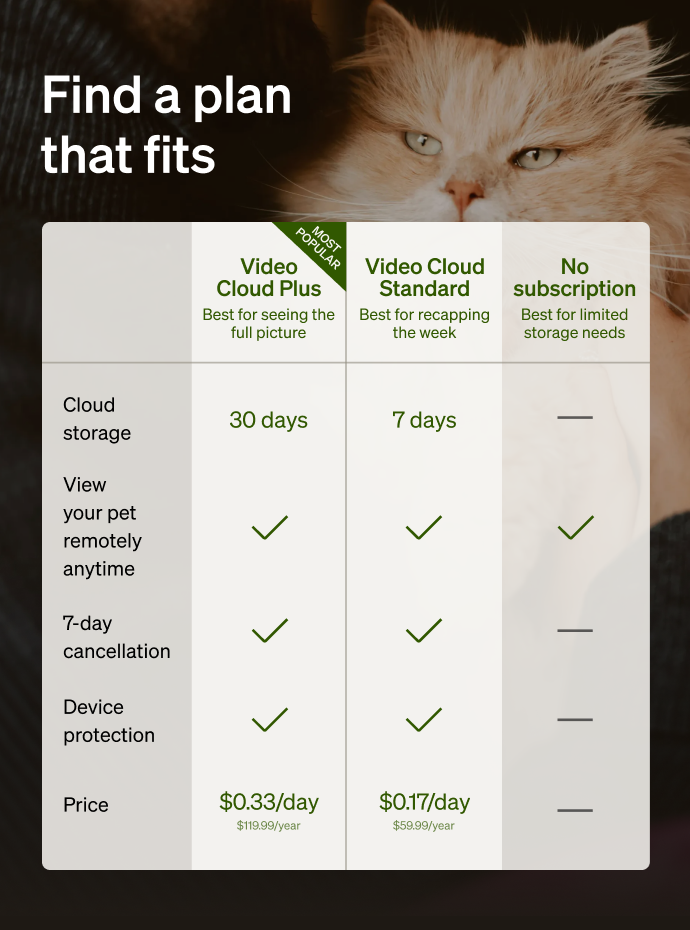 Petlibro subscription plan comparison chart showing Video Cloud Plus, Video Cloud Standard, and No subscription options with features and pricing details.