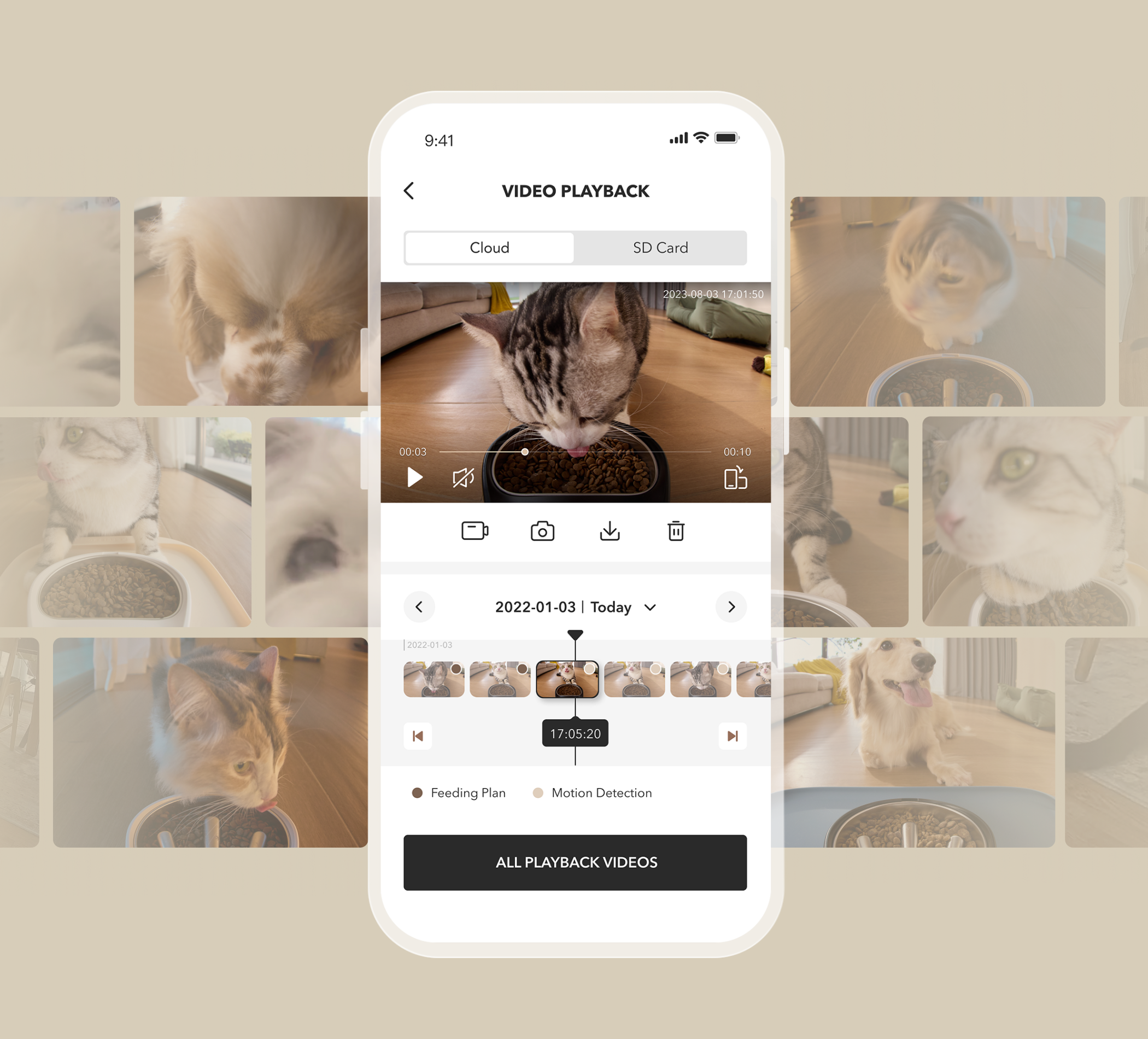 Petlibro mobile app interface showing video playback of a cat eating dry food from a bowl with cloud and SD card options