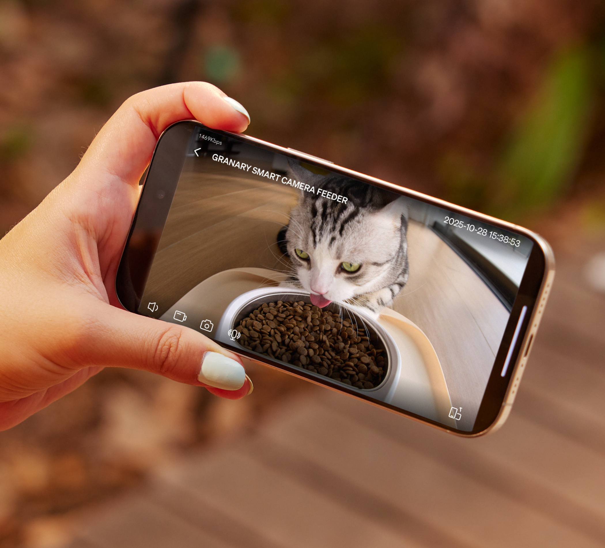 Petlibro smart camera feeder app showing a gray tabby cat eating dry food from a beige bowl