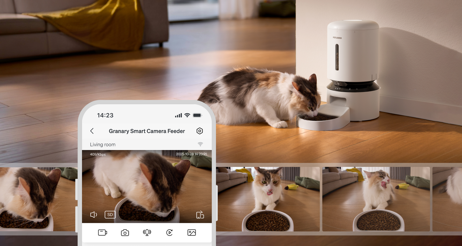 Petlibro smart automatic pet feeder in white with camera, dispensing dry food to a calico cat in a living room setting