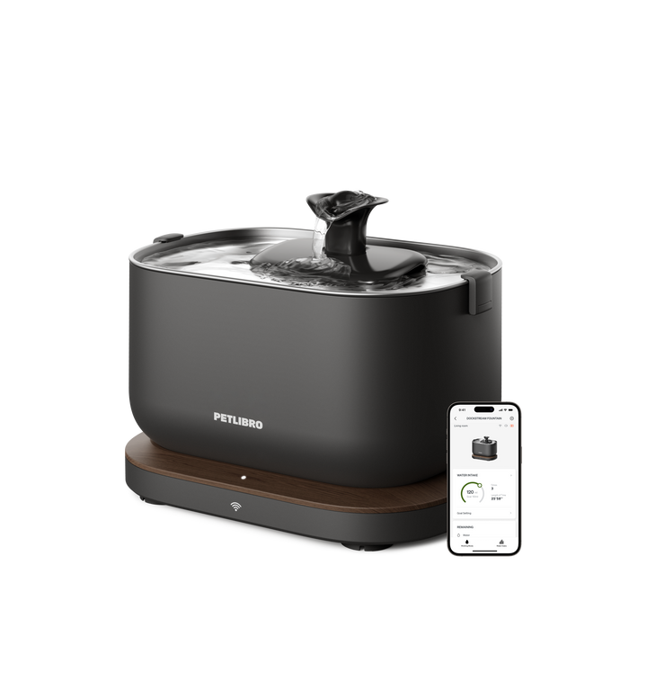 Dockstream Smart Fountain
