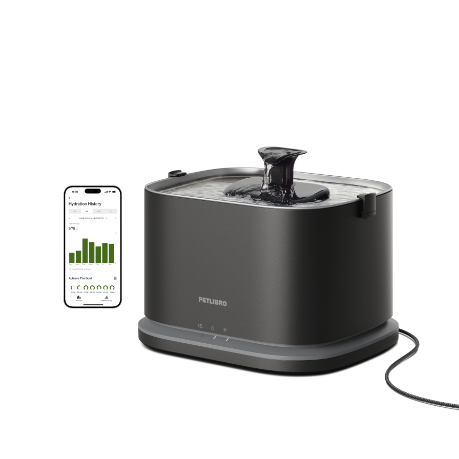 Dockstream 2 Smart Fountain Pet