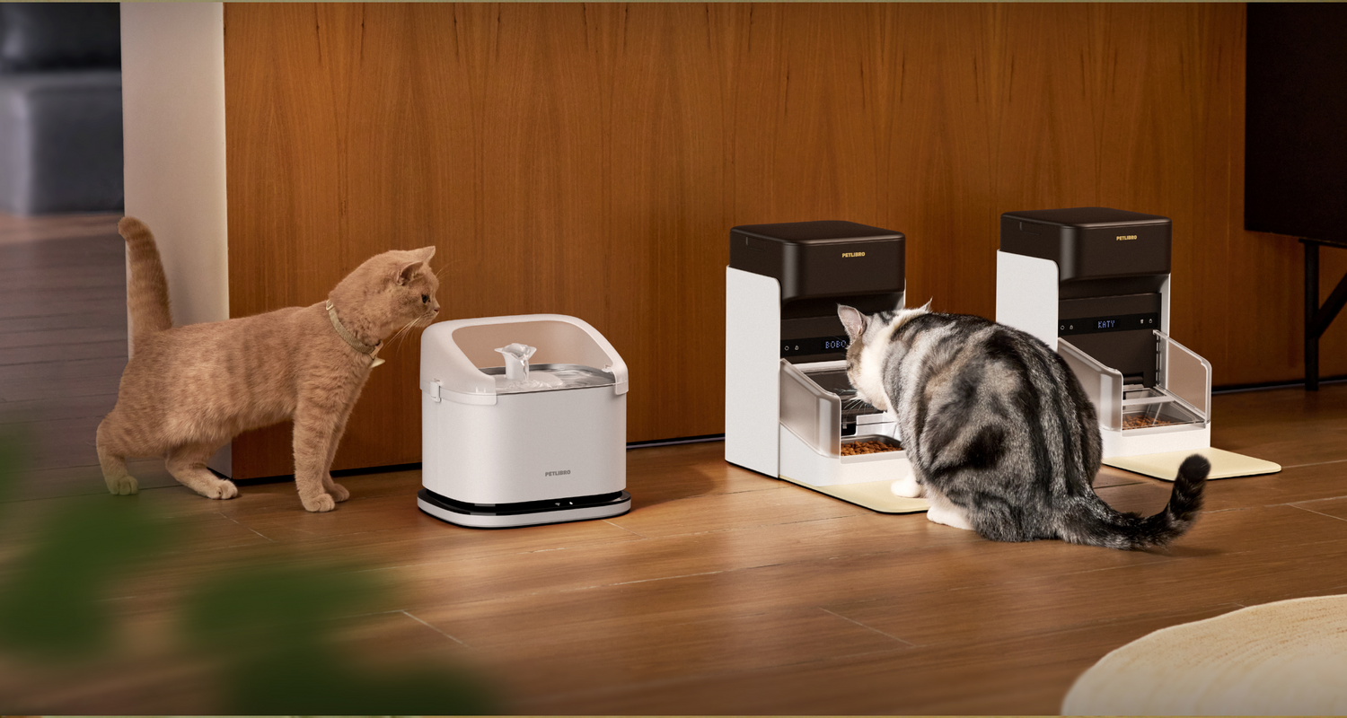 Petlibro PETLIBRO cat pet fountain and automatic feeder beside litter box, two cats drinking and eating on wood floor