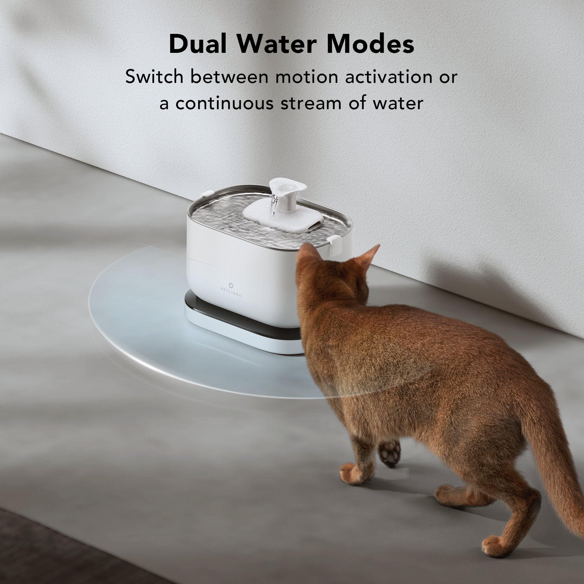 Battery powered pet hot sale fountain